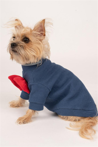 Doredog Woofle Mavi Papyonlu Tshirt