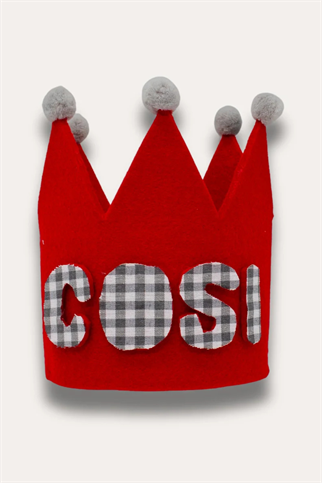 Asky&Erd Party Club Crown Hat Köpek Doğum Günü Tacı - Kişiselleştirilebilir