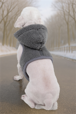 Pinkaholic New York Itzel Pinka Harness Köpek Göğüs Tasması Gri 