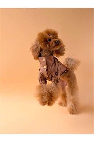 Zoë Pet Atelier × Lolidogs Köpek Yağmurluğu Caramel