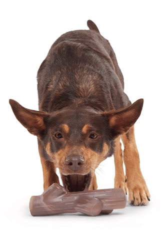 Bark Fetch Süper Çiğneme Çubuğu Köpek Oyuncakları M