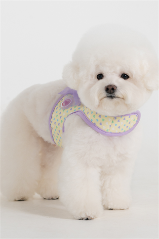 Pinkaholic New York Mabel Harness Köpek Göğüs Tasması Mor 