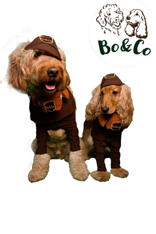 Bo&Co Postacı Kostümü