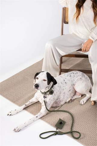Zoe Pet Atelier Air Tag Kılıfı - Haki