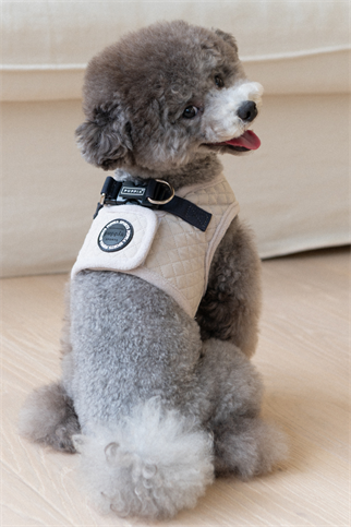 Irvin Harness B Köpek Göğüs Tasması Krem Rengi 