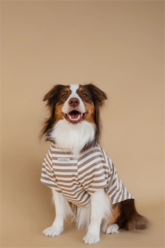 Asky&Erd Heritage Stripe Tshirt Oat Latte