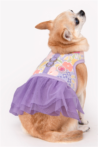 Pinkaholic New York Evanthe Flirt Harness Elbise Göğüs Tasması Mor