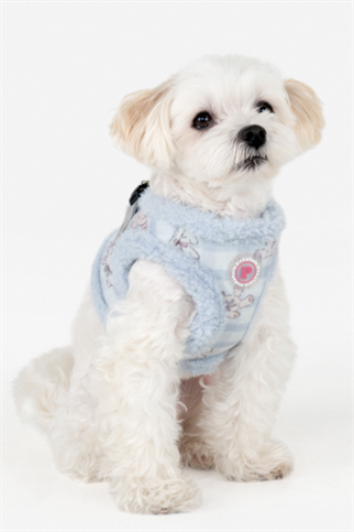 Puppia Bronwen Vest Harness Köpek Göğüs Tasması Mavi 