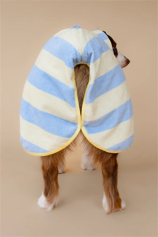 Asky&Erd Soft Rituals Cepli Köpek Kurulama Havlusu Butterscotch Çizgili Pijamalar ve Bornozlar