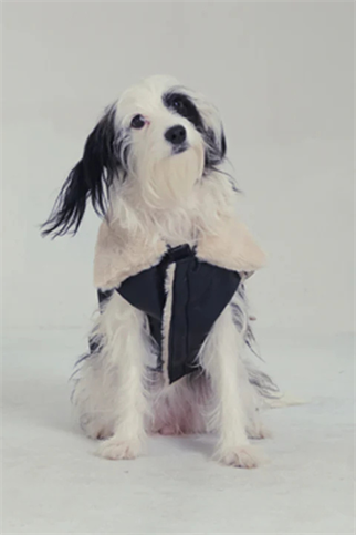 Godoist Nappa Köpek Montu - Nappa Leather Jacket