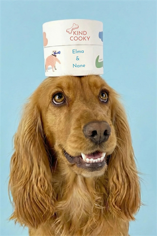 Kind Cooky Elmalı&Naneli Kurabiye Köpek Ödülü 130gr