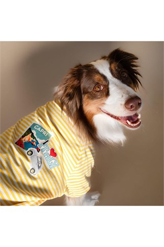 Asky&Erd Ciao Capri Köpek T-Shirt Limoncello