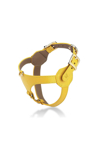 Lupinus Atelier Cavalier Flavus x Yaga Köpek Göğüs Tasması Sarı