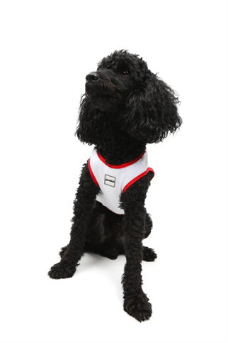 Goodboi Hot Dog Atlet