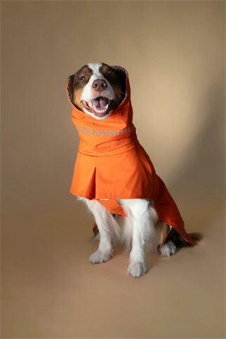 Seattle Raincoat | Amber Glow