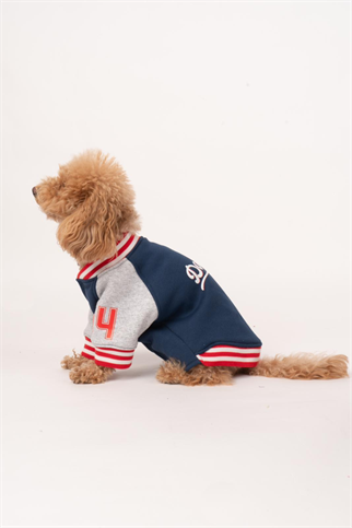 Doredog Köpek Kolej Ceket