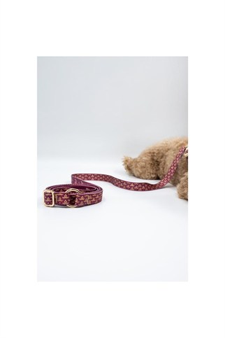 Lupinus Atelier Flexus Cerasus x Chintamani Köpek Gezdirme Kayışı