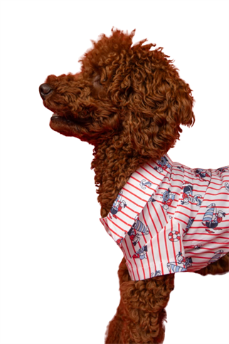 Goodboi Kırmızı Çizgili Poplin Kaptan Gömlek