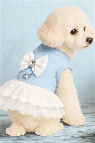 Dolce Pets Taşlı Fiyonk Elbise Mavi