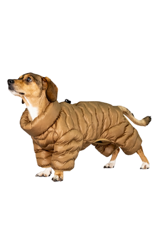 Puppia Wavy Puffer Köpek Tulumu - Kahverengi