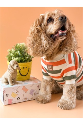 Zoë Pet Atelier × Lolidogs Basic Stripe Köpek Kıyafeti Army