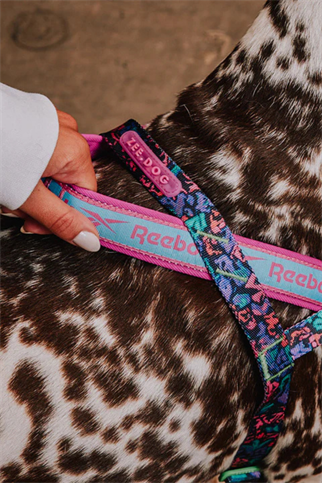 Zee.Dog Reebok x Zee.Dog Aerobic Softer Walk Göğüs Tasması