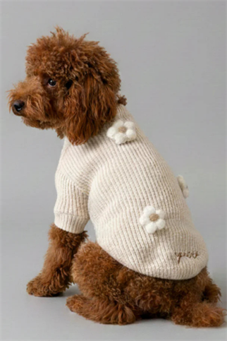 Apac.co Çiçekli Köpek Kazak Ekru 