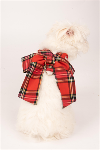 Doredog Fiyonklu Ekoseli Köpek Tasma 