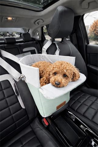 Max Design Maxie Comfort Köpek Taşıma Çantası Yeşil