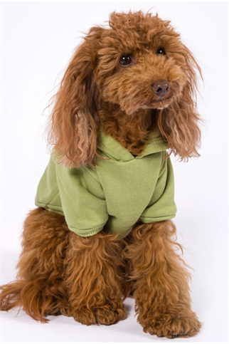Kajuland Maura Köpek Hoodie Yeşil