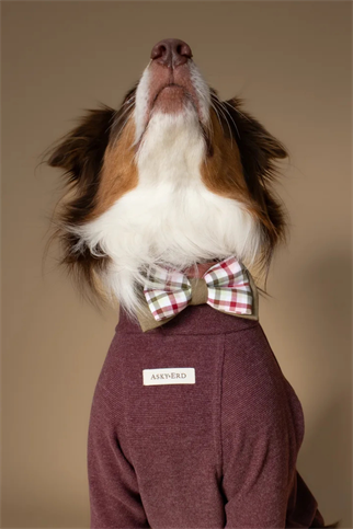 Asky&Erd Bow Tie | Mulberry Plaid