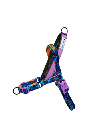 Zee.Dog Reebok x Zee.Dog Trekk Softer Walk Göğüs Tasması