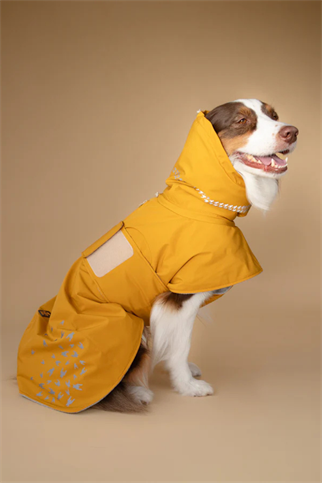 Asky&Erd Seattle StormGuard Coat  Yağmurluk Mustard Fog