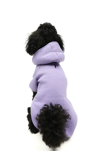 Goodboi Köpek Hoodie Lila