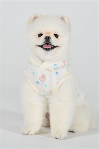 Pinkaholic New York Cerys Kolsuz Kapüşonlu T-shirt Krem 