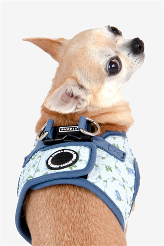 Florian Harness B Köpek Göğüs Tasması Mavi