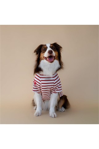 Asky&Erd Bonjour Paris Köpek T-Shirt | Rouge Breton