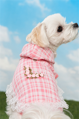 Pinkaholic New York Alyse Kapüşonlu Köpek Sweat Pembe