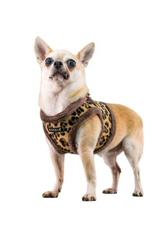Puppia Wild Harness B Köpek Göğüs Tasması - Kahverengi | Leopar Desenli