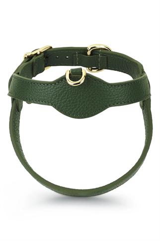 Royale Viridis Köpek Göğüs Tasması