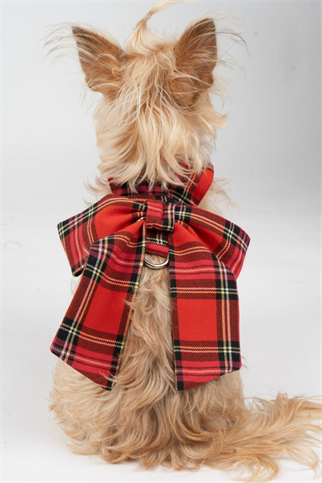 Doredog Fiyonklu Ekoseli Köpek Tasma 