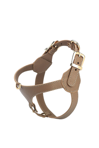 Lupinus Atelier Cavalier Byssus x Yaga Köpek Göğüs Tasması Vizon