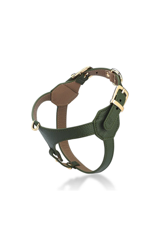 Lupinus Atelier Cavalier Viridis x Yaga Köpek Göğüs Tasması Haki