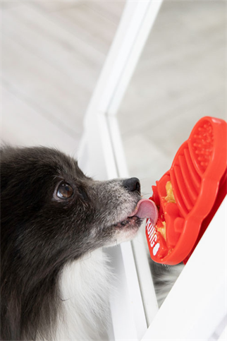 Kong Licks Köpekler için Sıvı Ödül Maması Oyuncağı S