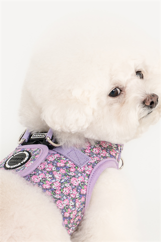 Kealoha Harness B Köpek Göğüs Tasması Mor 