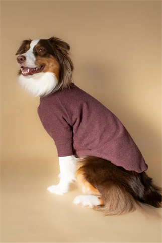 Asky&Erd Turtleneck | Mulberry Wine