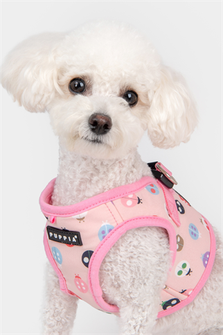 Lady Beetle Harness B Köpek Göğüs Tasması Pembe