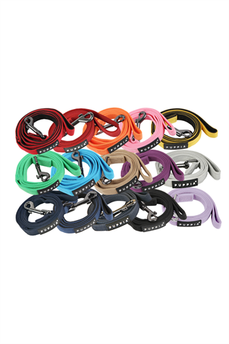 Puppia Two Tone Köpek Gezdirme Kayış Lila
