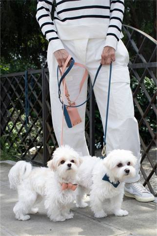 Zoe Pet Atelier Yumuşak Pembe Deri Papyon
