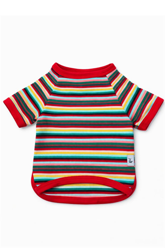 Ziggy Dog Çizgili Köpek T-shirt